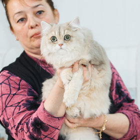 cherkessk_w3_13-05-17.jpg