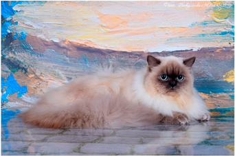 golubika_w5min_slid.jpg
