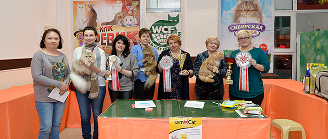 cherkes-w11.jpg