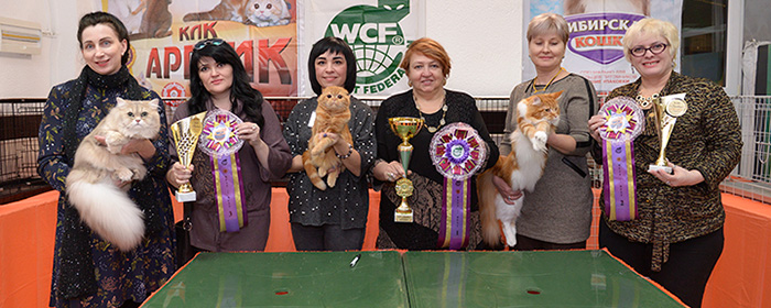 cherkes-w12.jpg