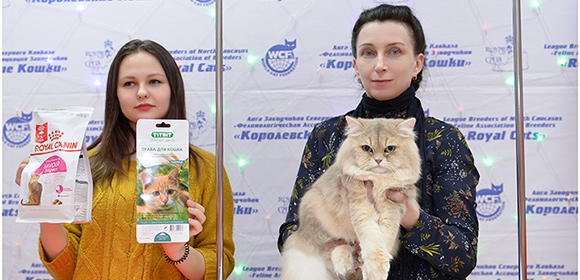 essentyki-16-12-17_w8-min.jpg