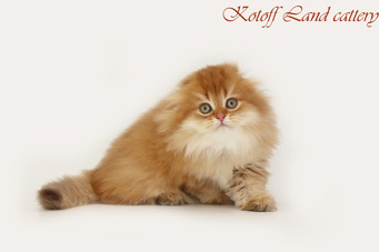 img-sahara-w11min.jpg