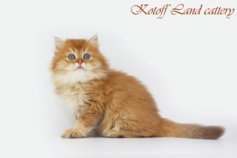 img-sweet_baton-w3min.jpg