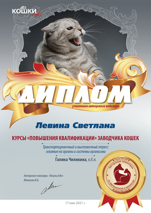 Вебинар-05-17-21-w1.jpg