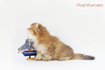 img-Wildberry-w2-min.jpg