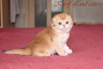 img-yana-w3-min.jpg