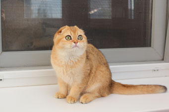 img-barbara-w1-min.jpg