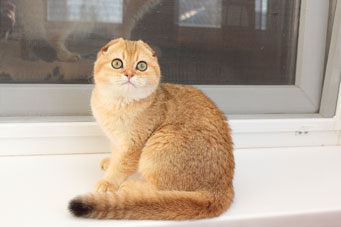 img-barbara-w2-min.jpg
