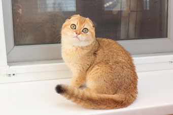 img-barbara-w3-min.jpg