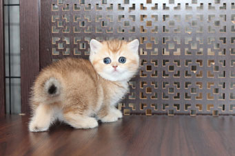 img-daniella-w2-min.jpg