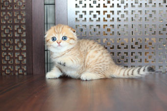 img-dina-w2-min.jpg